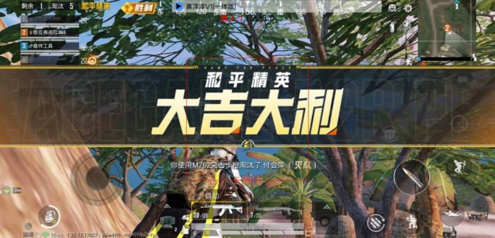 外挂玩和平精英到底有多爽（用外挂打和平精英到底有多爽）
